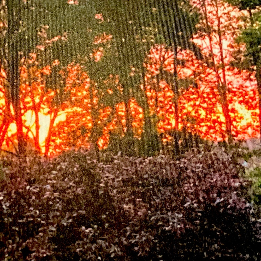 Sunset Forest Canvas Photo